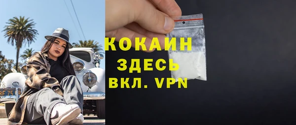 твердый Лиски
