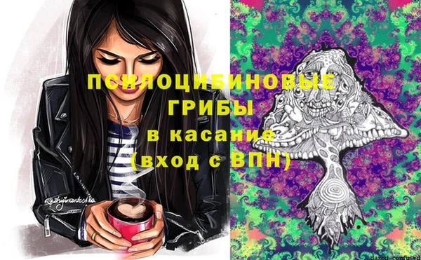 гидропоника Беломорск
